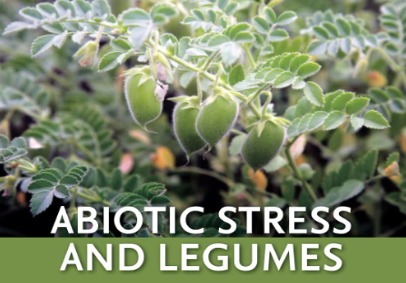 Abiotic Stress and Legumes